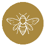 Bee icon
